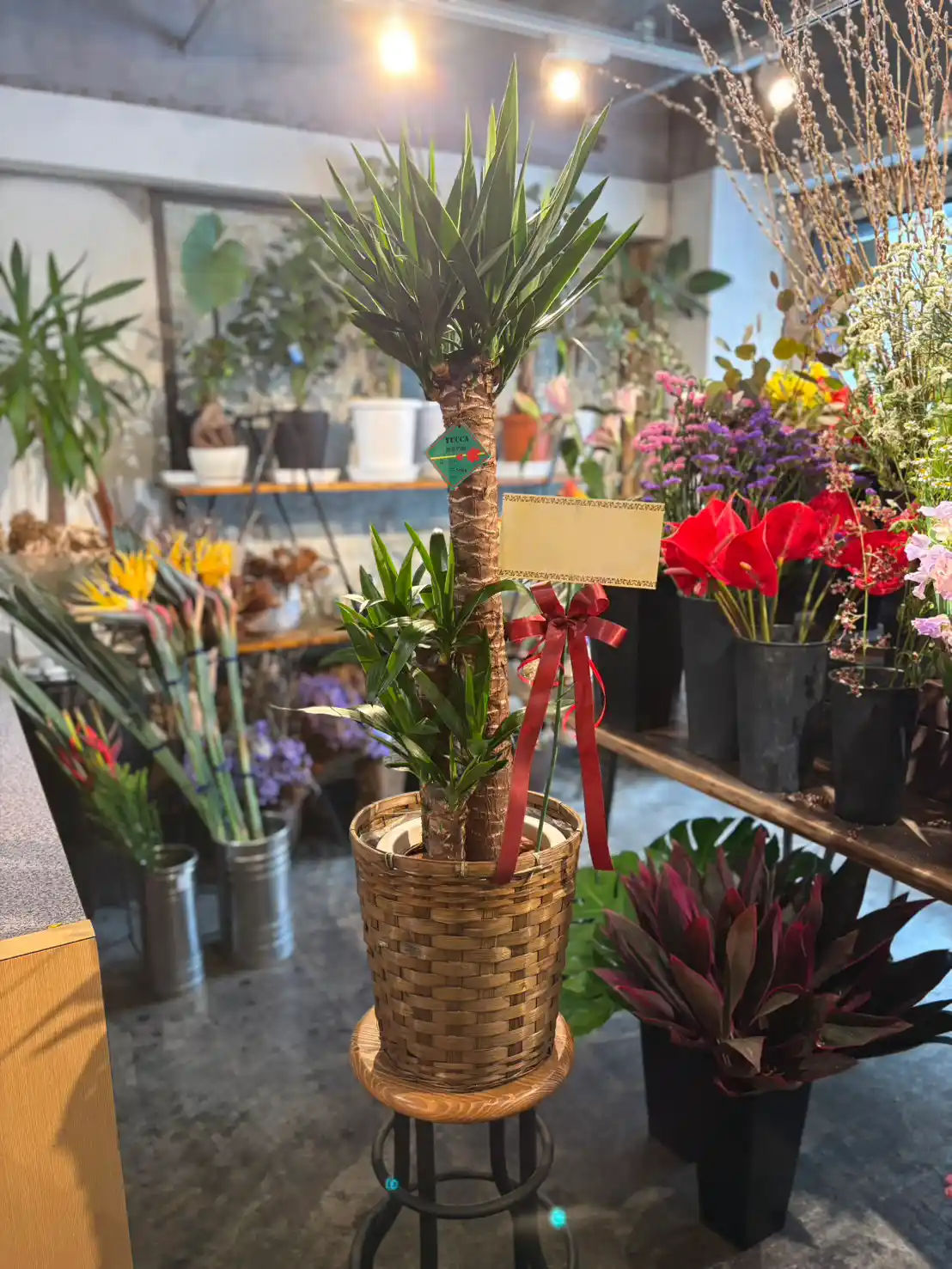 【開業祝い】2月21日にお届けしました🌸