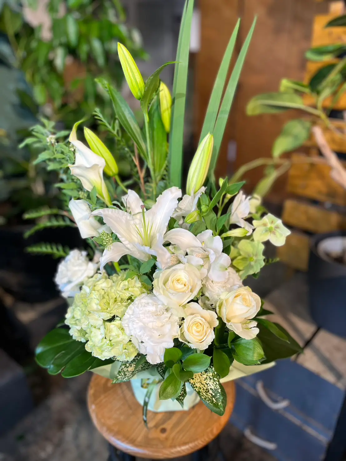 【展覧会開催お祝い】2月18日にお届けしました🌸